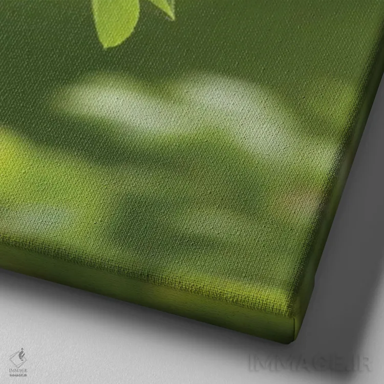 تابلو Carmel, Indiana. Cedar waxwing feeds on serviceberry fruit.,ایالات متحده، کارمل، ایندیانا. سیدر وکسوینگ در حال تغذیه از میوه سروس بری اثر دبورا وینچستر - نمای نزدیک بافت بوم