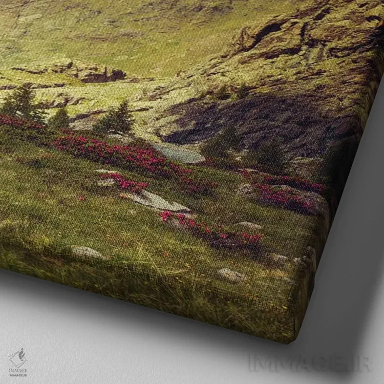 تابلو مرا به کوهها ببر ۲ اثر دیرک وستنهاگن - نمای نزدیک بافت بوم