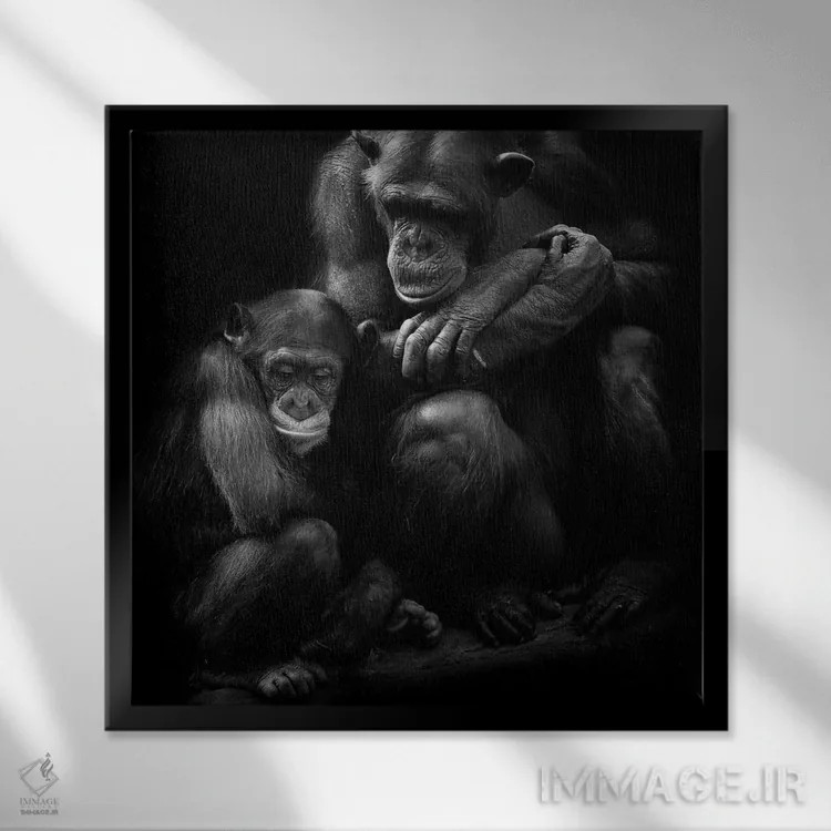 تابلو خانواده شامپانزه اثر دیوید وولَن - نمای قابدار مشکی