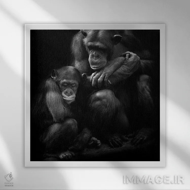 تابلو خانواده شامپانزه اثر دیوید وولَن - نمای قابدار سفید