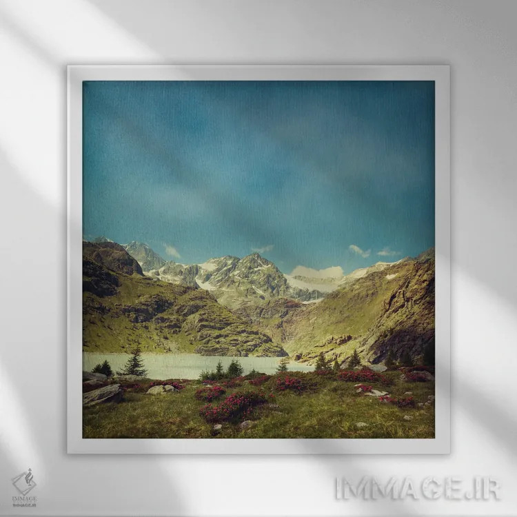 تابلو مرا به کوهها ببر ۲ اثر دیرک وستنهاگن - نمای قابدار سفید