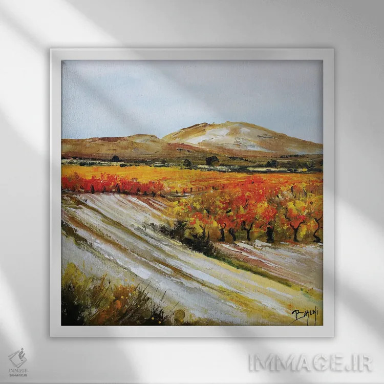 تابلو تاکستانها در پرووانس اثر اریک برونی - نمای قابدار سفید