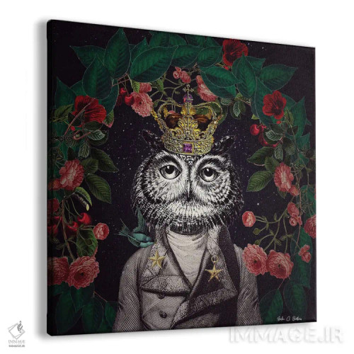 تابلو آقای جغد اثر اریکا سی. برادرز - نمای پرسپکتیو محصول