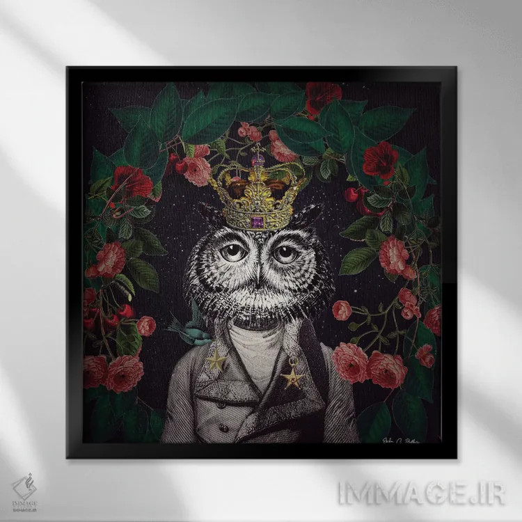 تابلو آقای جغد اثر اریکا سی. برادرز - نمای قابدار مشکی