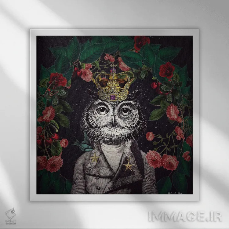 تابلو آقای جغد اثر اریکا سی. برادرز - نمای قابدار سفید