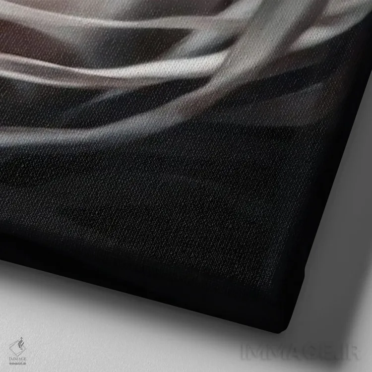 تابلو بیوه سیاه اثر جف اچواریا - نمای نزدیک بافت بوم