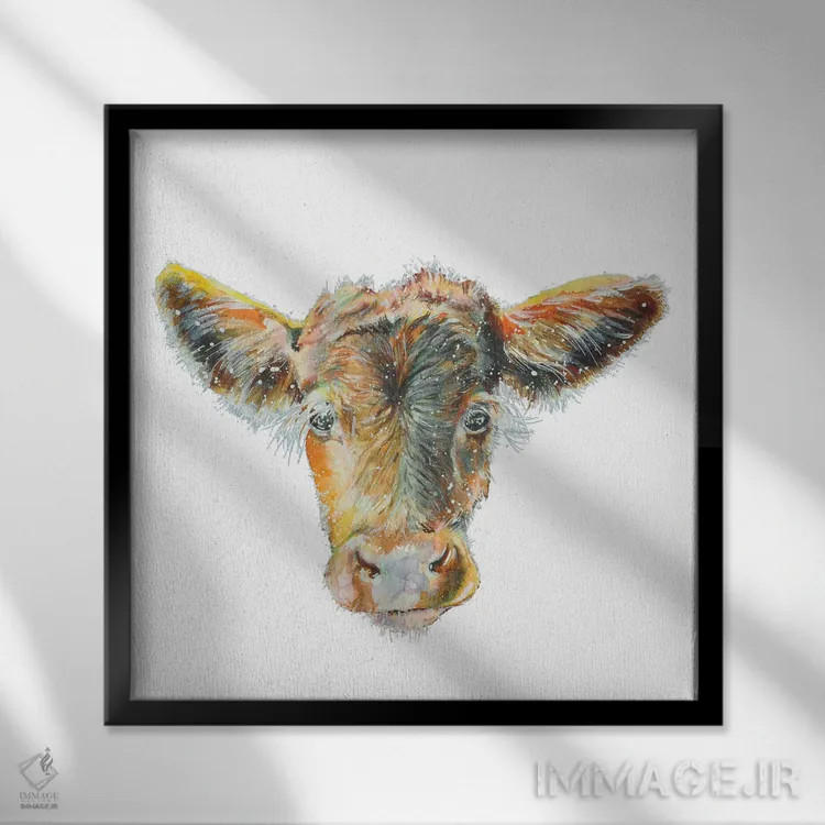 تابلو گوساله ماده روی زمینه سفید اثر اما کاترین دبس - نمای قابدار مشکی