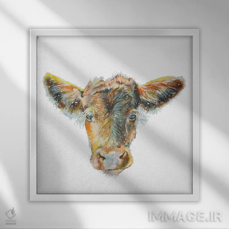 تابلو گوساله ماده روی زمینه سفید اثر اما کاترین دبس - نمای قابدار سفید