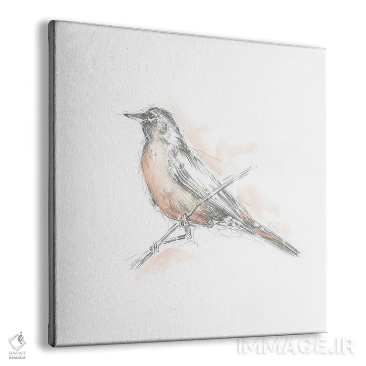 تابلو طرح رابیِن (سینهسرخ) (قسمت دوم) اثر اتان هارپر - نمای پرسپکتیو محصول