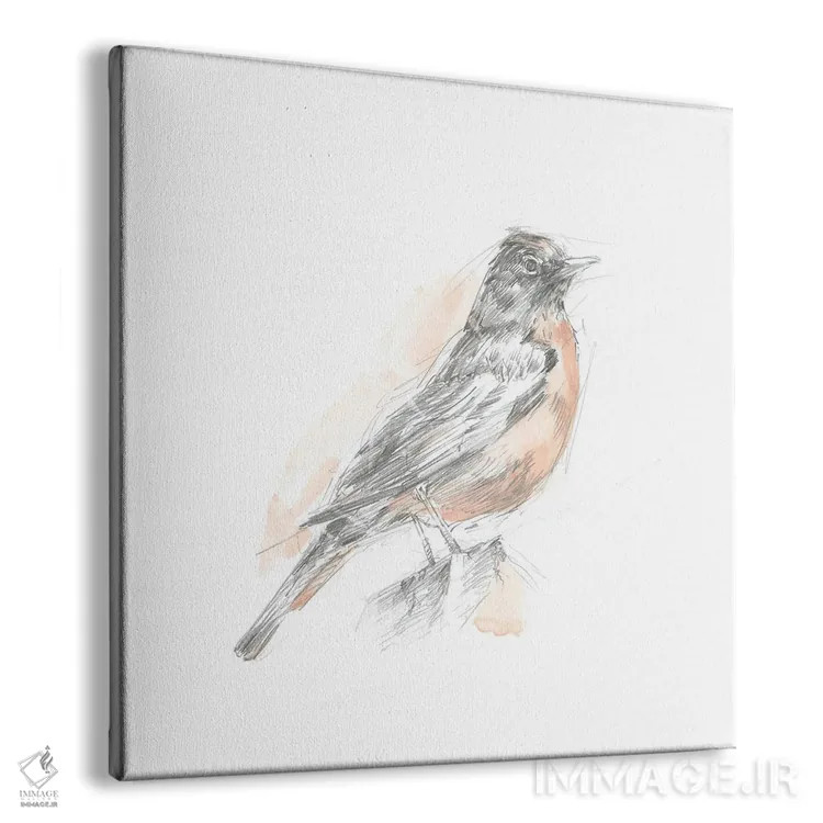 تابلو طرح رابیِن (سینهسرخ) (قسمت اول) اثر اتان هارپر - نمای پرسپکتیو محصول