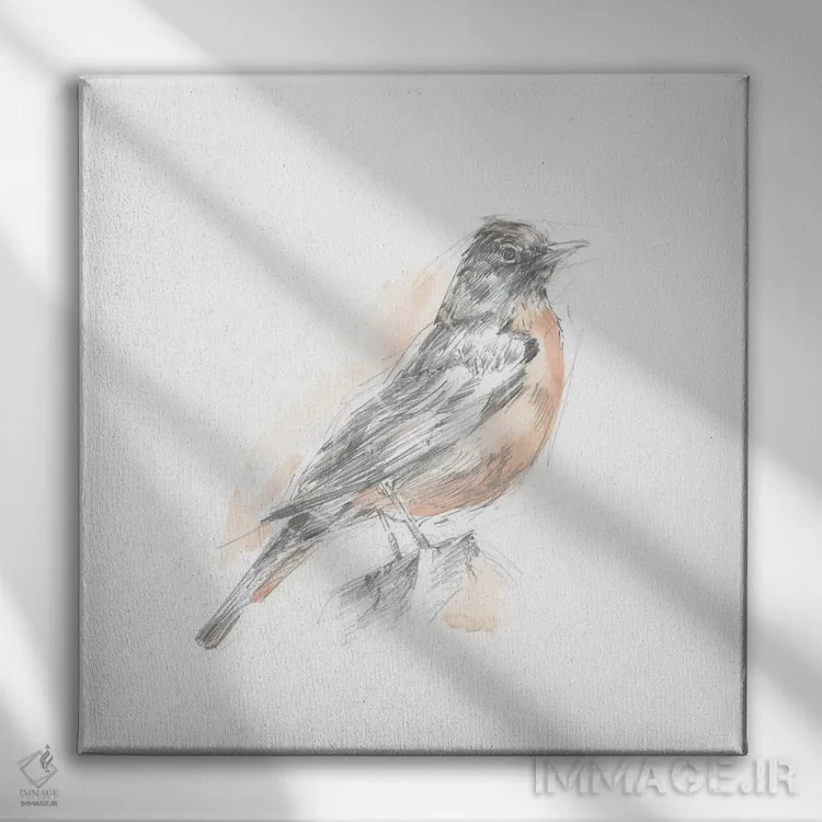 تابلو طرح رابیِن (سینهسرخ) (قسمت اول) اثر اتان هارپر - نمای روبهرو روی دیوار