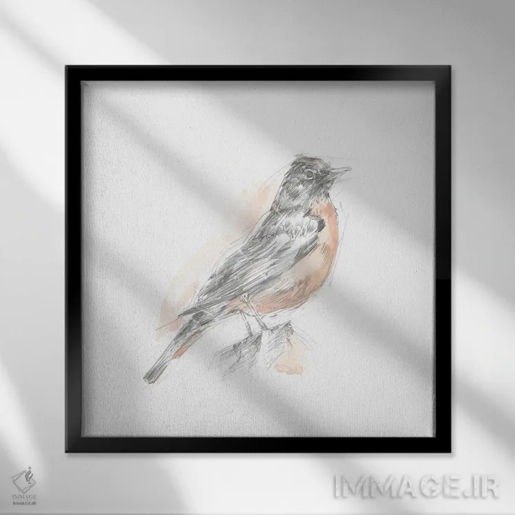 تابلو طرح رابیِن (سینهسرخ) (قسمت اول) اثر اتان هارپر - نمای قابدار مشکی