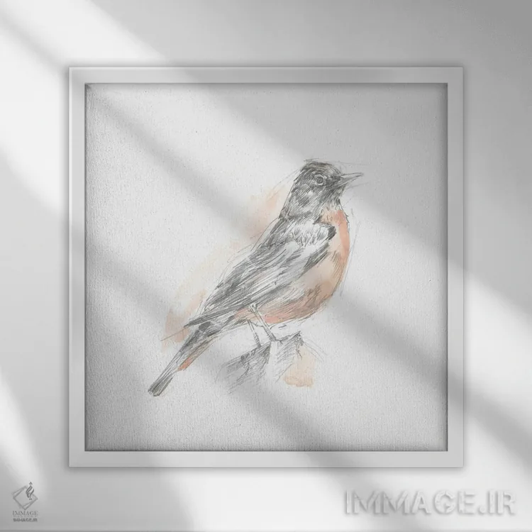 تابلو طرح رابیِن (سینهسرخ) (قسمت اول) اثر اتان هارپر - نمای قابدار سفید