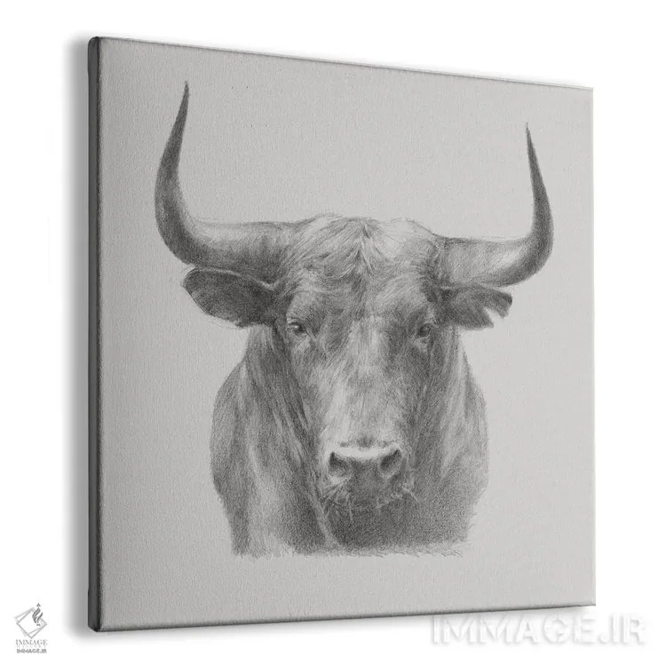 تابلو گاو سیاه اثر اتان هارپر - نمای پرسپکتیو محصول