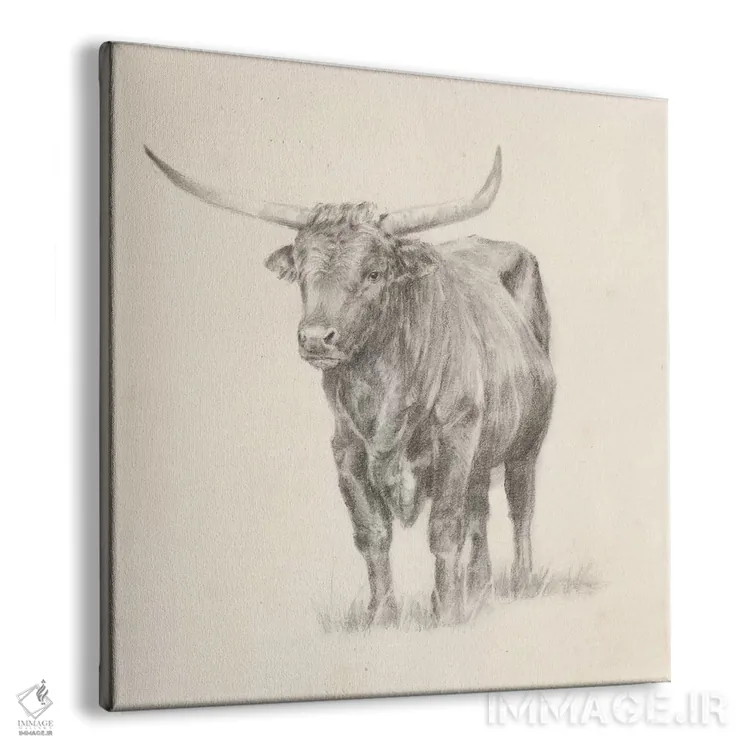 تابلو طرح گاو شاخبلند I اثر اتان هارپر - نمای پرسپکتیو محصول
