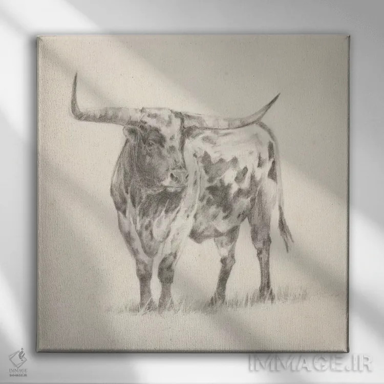 تابلو طرح گاو شاخبلند II اثر اتان هارپر - نمای روبهرو روی دیوار