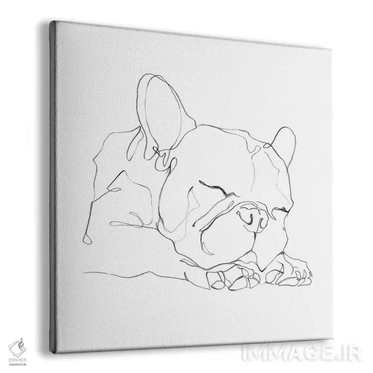 تابلو خطحاشیه بولداگ فرانسوی II اثر اتان هارپر - نمای پرسپکتیو محصول