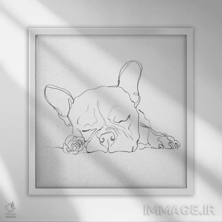 تابلو خطحاشیه بولداگ فرانسوی I اثر اتان هارپر - نمای قابدار سفید