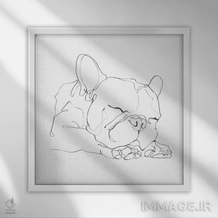 تابلو خطحاشیه بولداگ فرانسوی II اثر اتان هارپر - نمای قابدار سفید