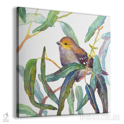 تابلو پرندهٔ فردالوت چهلخال روی شاخهٔ اکالیپتوس اثر اکاترینا پریسیچ - نمای پرسپکتیو محصول