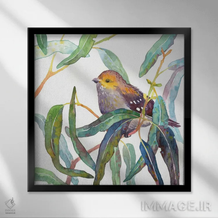 تابلو پرندهٔ فردالوت چهلخال روی شاخهٔ اکالیپتوس اثر اکاترینا پریسیچ - نمای قابدار مشکی