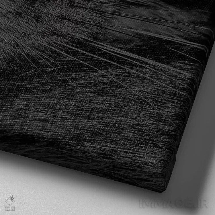 تابلو مثل یک رئیس اثر الیزابت فردریکسون - نمای نزدیک بافت بوم