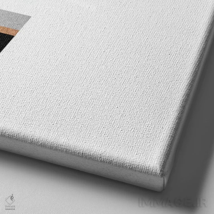 تابلو کاکتوس زیبا اثر الیزابت فردریکسون - نمای نزدیک بافت بوم