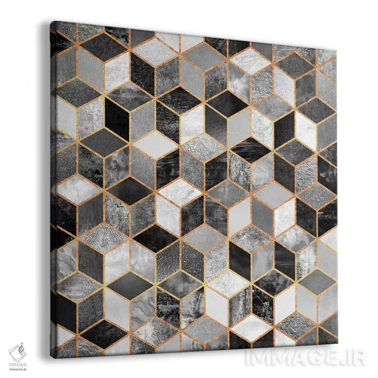 تابلو مکعبهای سیاه و سفید اثر الیزابت فردریکسون - نمای پرسپکتیو محصول