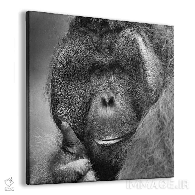 تابلو آفرین! اثر المر وایس - نمای پرسپکتیو محصول