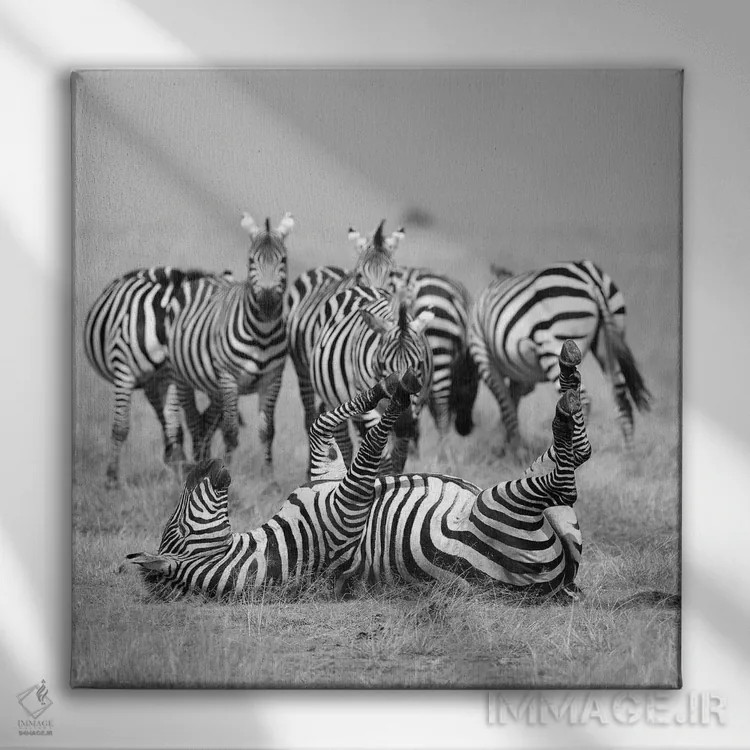 تابلو آرام باش! اثر المر وایس - نمای روبهرو روی دیوار