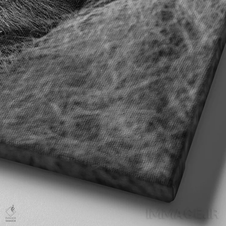 تابلو آفرین! اثر المر وایس - نمای نزدیک بافت بوم