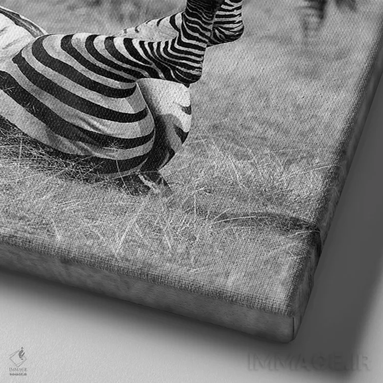 تابلو آرام باش! اثر المر وایس - نمای نزدیک بافت بوم