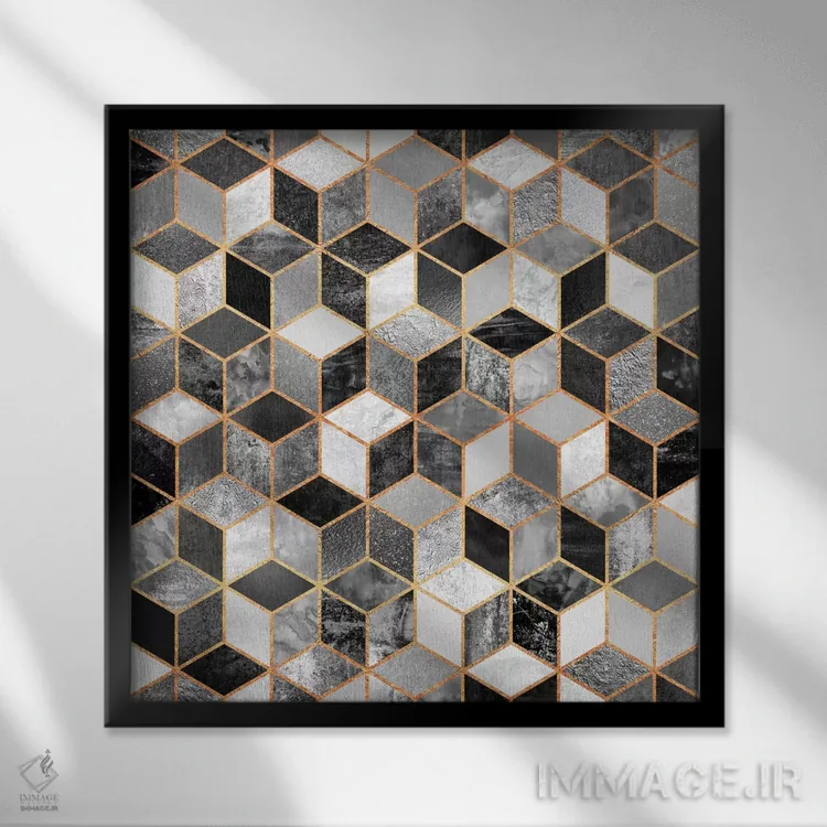 تابلو مکعبهای سیاه و سفید اثر الیزابت فردریکسون - نمای قابدار مشکی