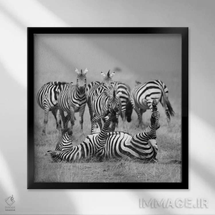 تابلو آرام باش! اثر المر وایس - نمای قابدار مشکی