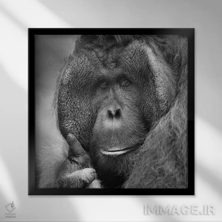 تابلو آفرین! اثر المر وایس - نمای قابدار مشکی