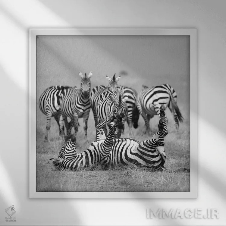 تابلو آرام باش! اثر المر وایس - نمای قابدار سفید