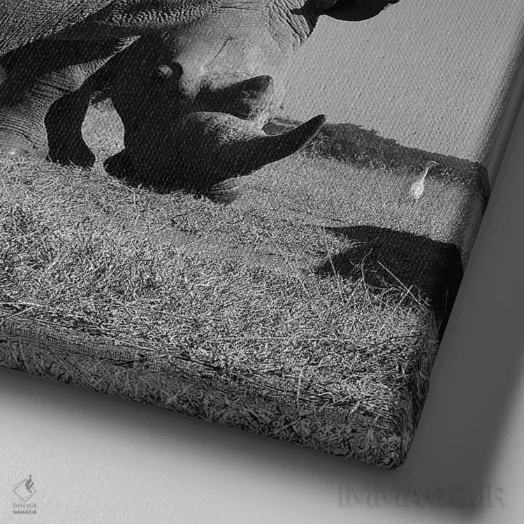 تابلو کرگدن سفید اثر المر وایس - نمای نزدیک بافت بوم