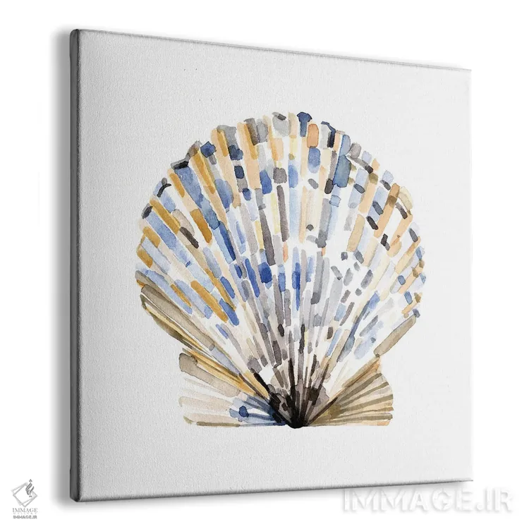 تابلو صدفهای ساده ۱ اثر اما کارولین - نمای پرسپکتیو محصول