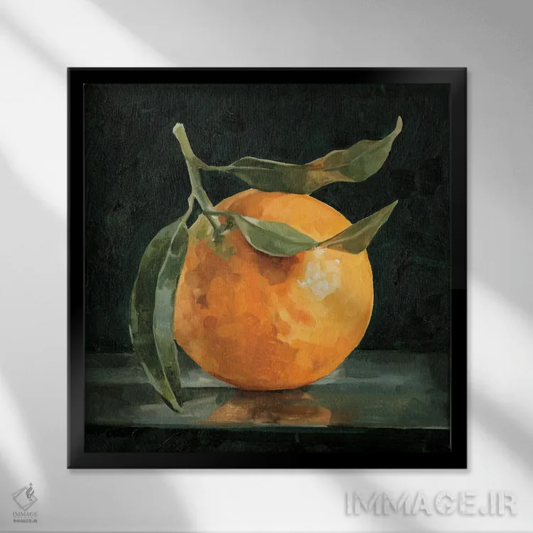 تابلو طبیعت بیجان پرتقال تیره ۱ اثر اما کارولین - نمای قابدار مشکی