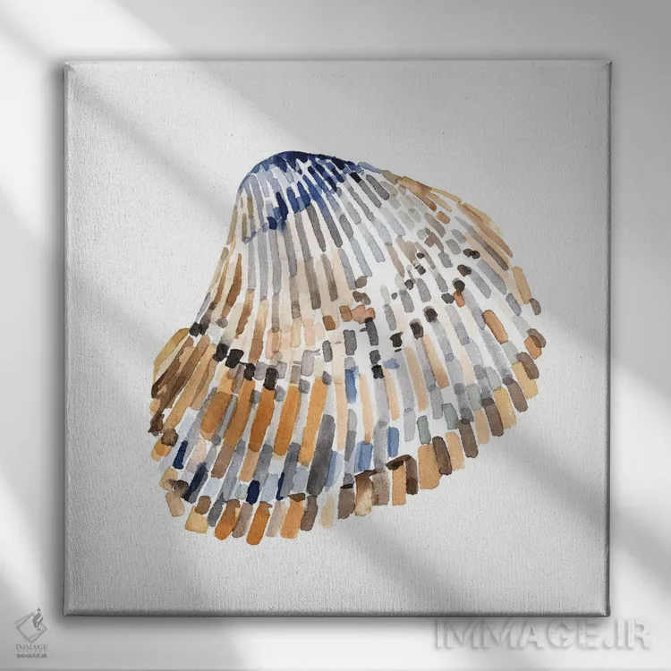 تابلو صدفهای ساده ۲ اثر اما کارولین - نمای روبهرو روی دیوار