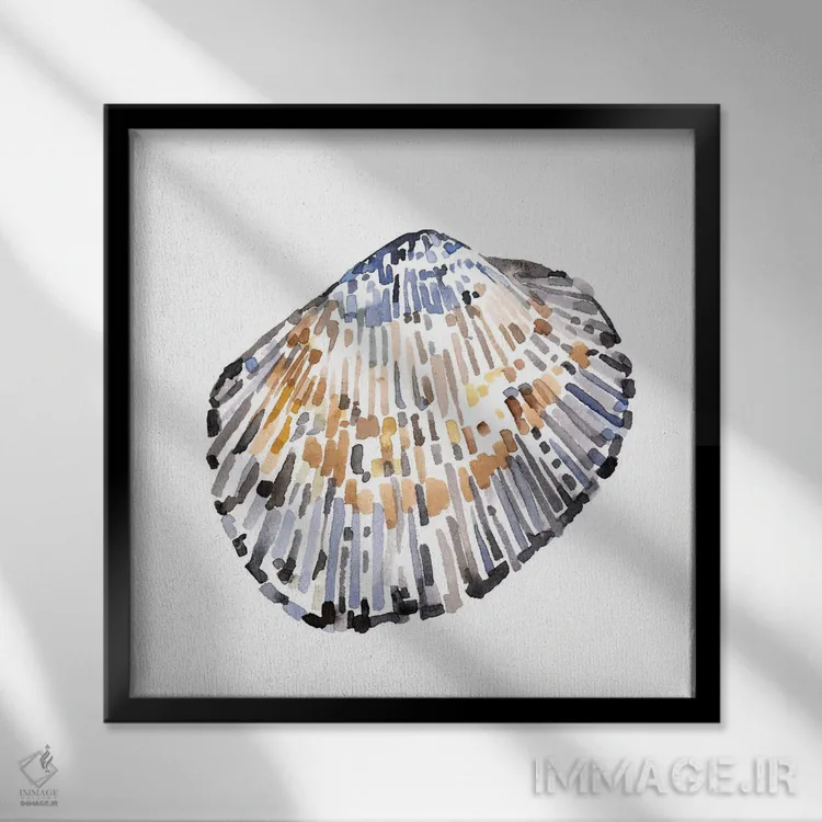 تابلو صدفهای ساده ۴ اثر اما کارولین - نمای قابدار مشکی