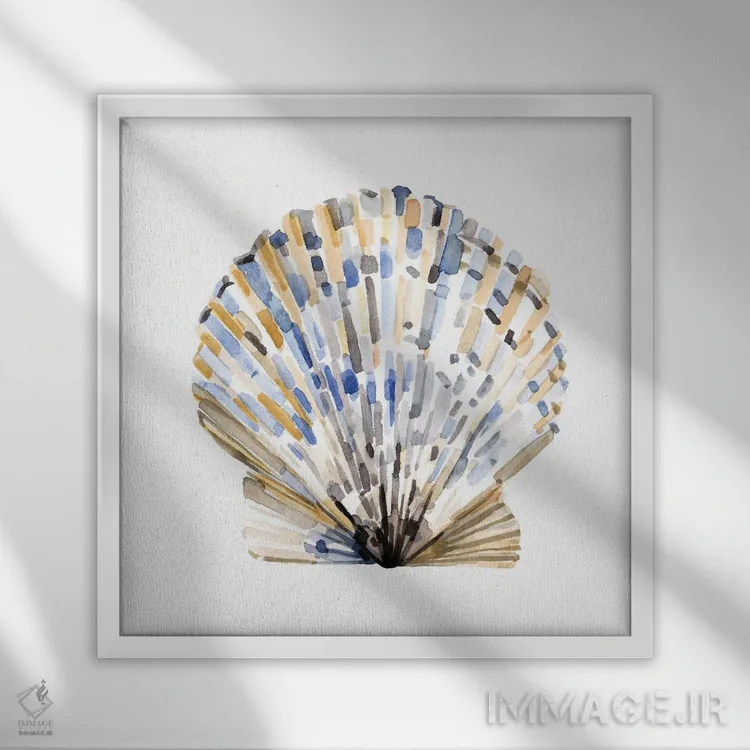 تابلو صدفهای ساده ۱ اثر اما کارولین - نمای قابدار سفید