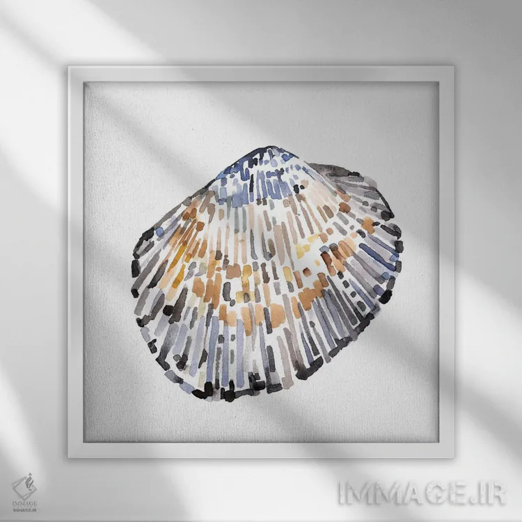 تابلو صدفهای ساده ۴ اثر اما کارولین - نمای قابدار سفید
