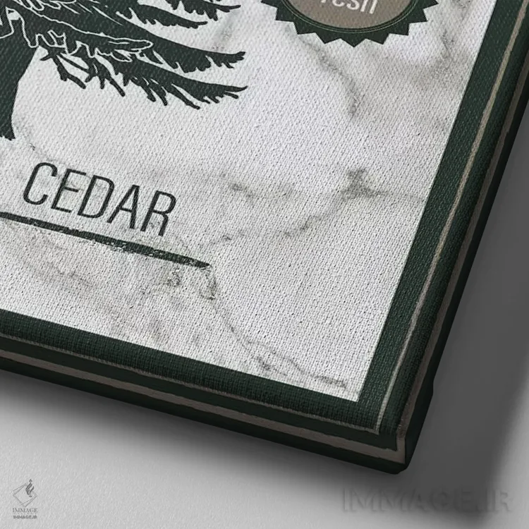 تابلو تابلوی کریسمسی تُوپ یک اثر الیزابت مدلی - نمای نزدیک بافت بوم