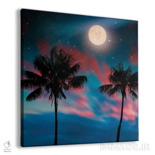 تابلو شب جزیره اثر مانجیک پیکچرز (استودیو عکاسی یا فیلمسازی) - نمای پرسپکتیو محصول