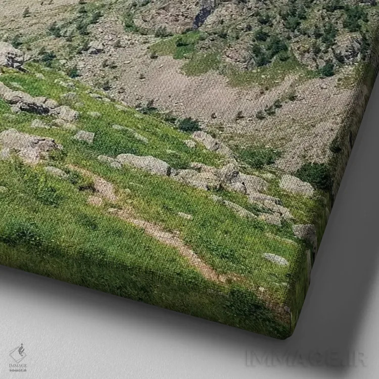 تابلو منظره آلپ فرانسه اثر مانجیک پیکچرز (استودیو عکاسی یا فیلمسازی) - نمای نزدیک بافت بوم