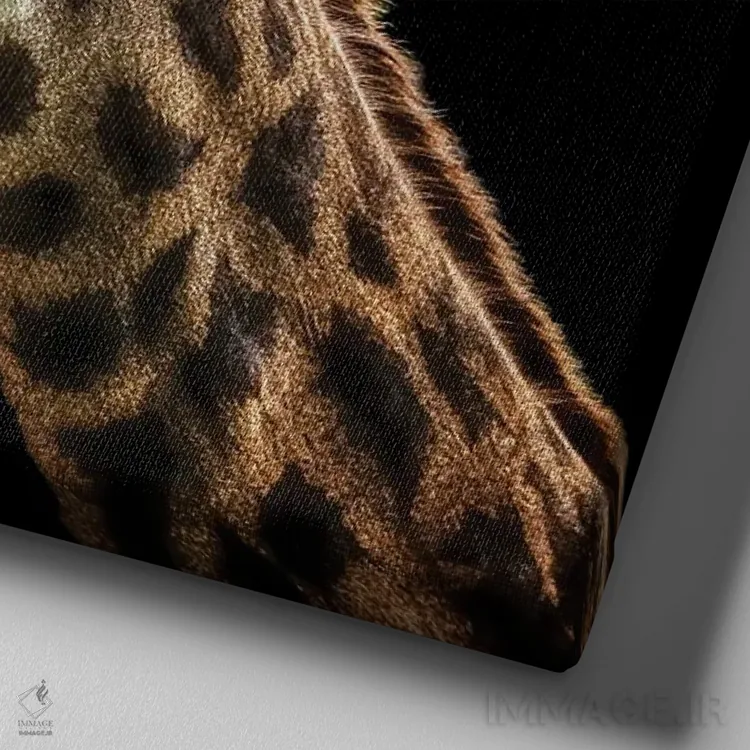 تابلو زرافه اثر مانجیک پیکچرز (استودیو عکاسی یا فیلمسازی) - نمای نزدیک بافت بوم