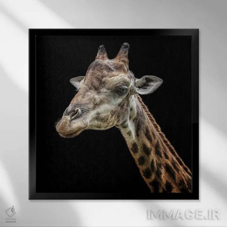 تابلو زرافه اثر مانجیک پیکچرز (استودیو عکاسی یا فیلمسازی) - نمای قابدار مشکی