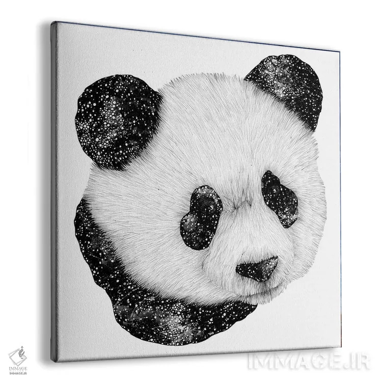 تابلو پاندای کیهانی اثر الا مازور - نمای پرسپکتیو محصول