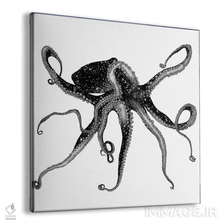 تابلو هشتپای کیهانی اثر الا مازور - نمای پرسپکتیو محصول